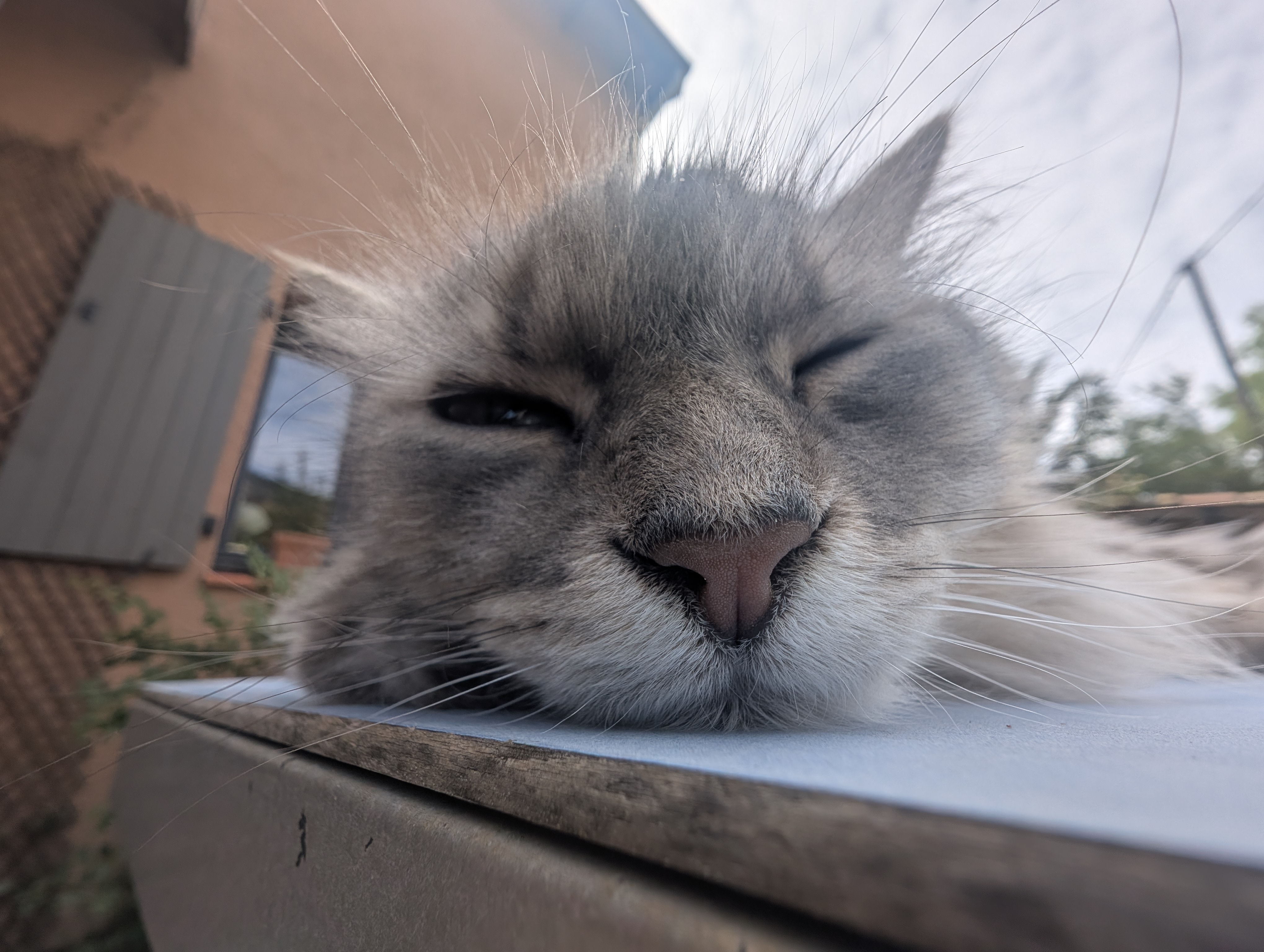 Chat